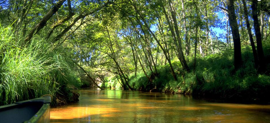 canaux dans les landes